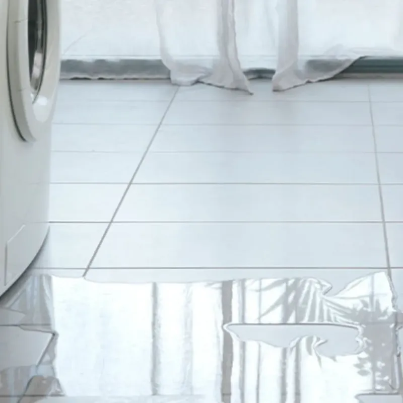 Appliance Leak Cleanup in Fish Lake, IN