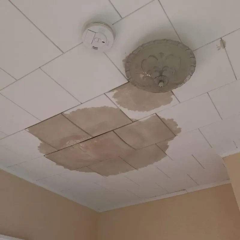 Ceiling Water Damage Repair in Fish Lake, IN