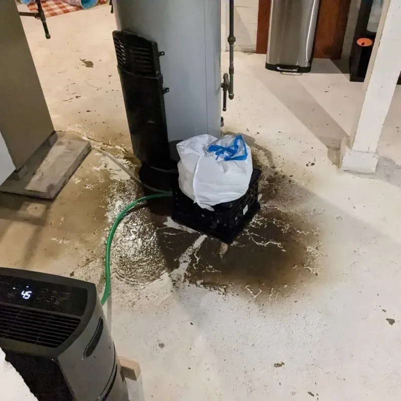 Sewage Backup Cleanup Service in Fish Lake, IN